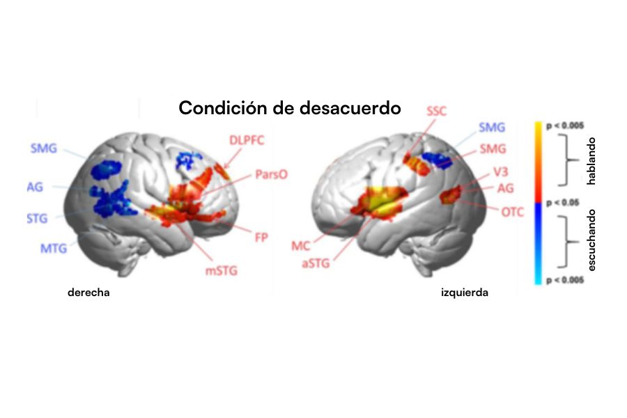 Representación gráfica de las áreas del cerebro que se activan cuando discutimos. 