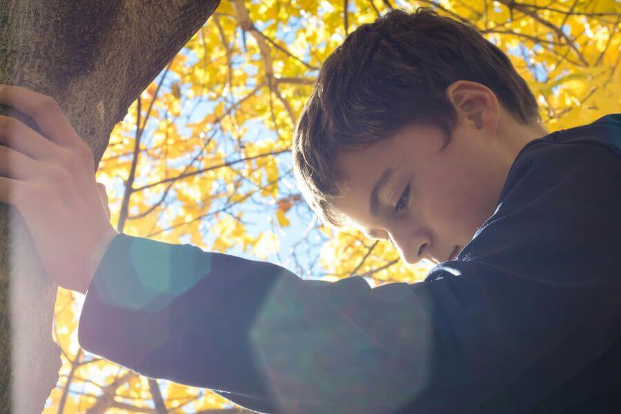 Niño pensativo apoyado en un árbol con luz de sol y hojas amarillas, simbolizando el trauma infantil en la niñez