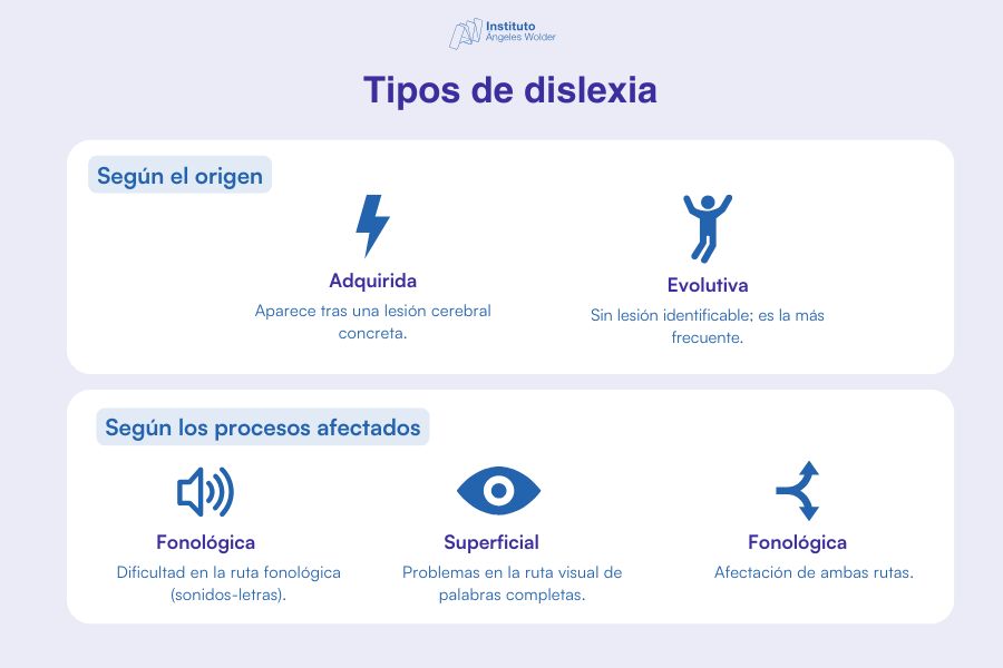 Infografía que muestra los tipos de dislexia según su origen y los procesos afectados, una de las dificultades de aprendizaje más comunes.