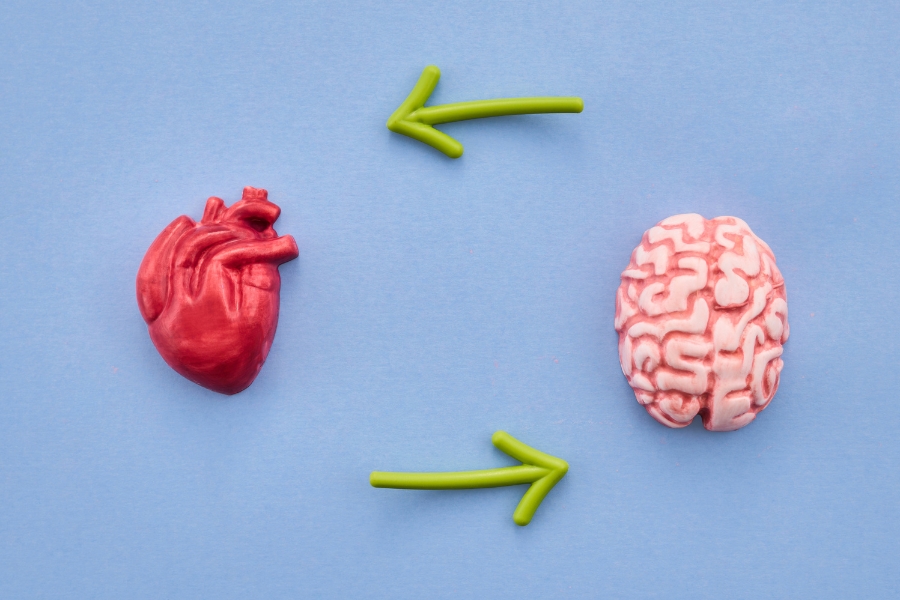 Mirada sistémica: la comunicación entre las emociones, el cuerpo y el síntoma