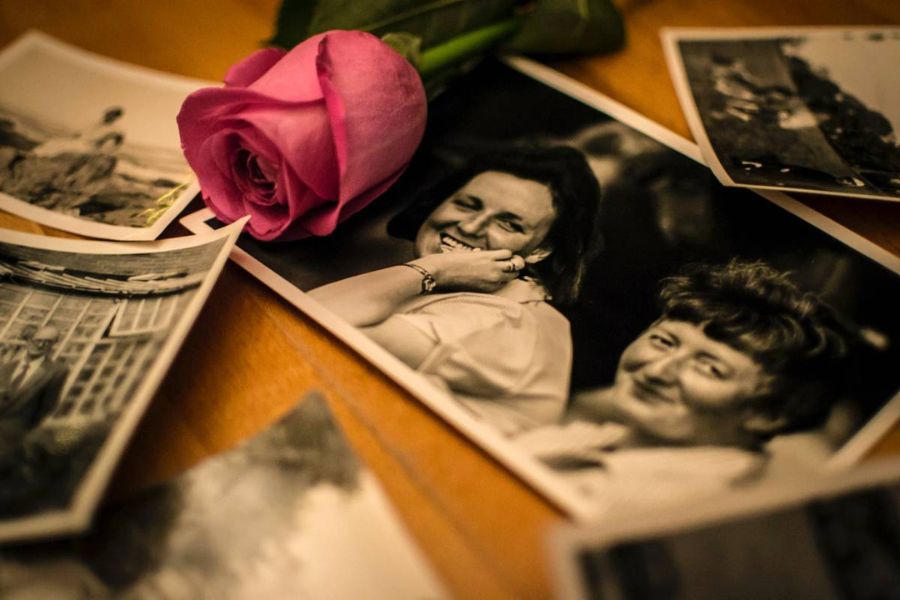 Fotografías familiares en blanco y negro sobre una mesa de madera con una rosa rosa encima, evocando la memoria y la herencia transgeneracional
